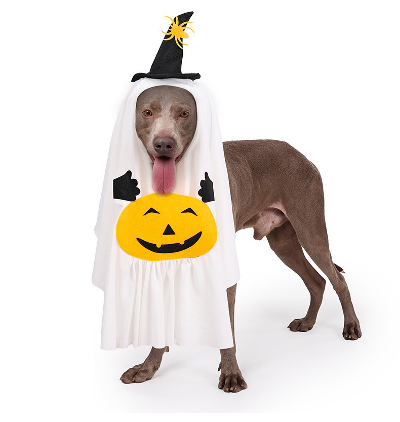 Halloween Ghost Pet Costume with Pumpkin Design and Mini Witch Hat